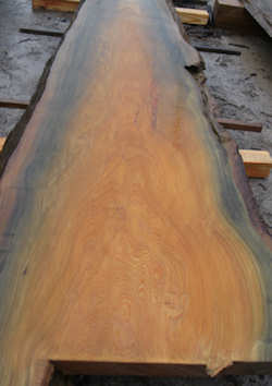 sinker cypress